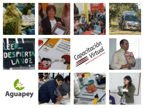 Acciones federales