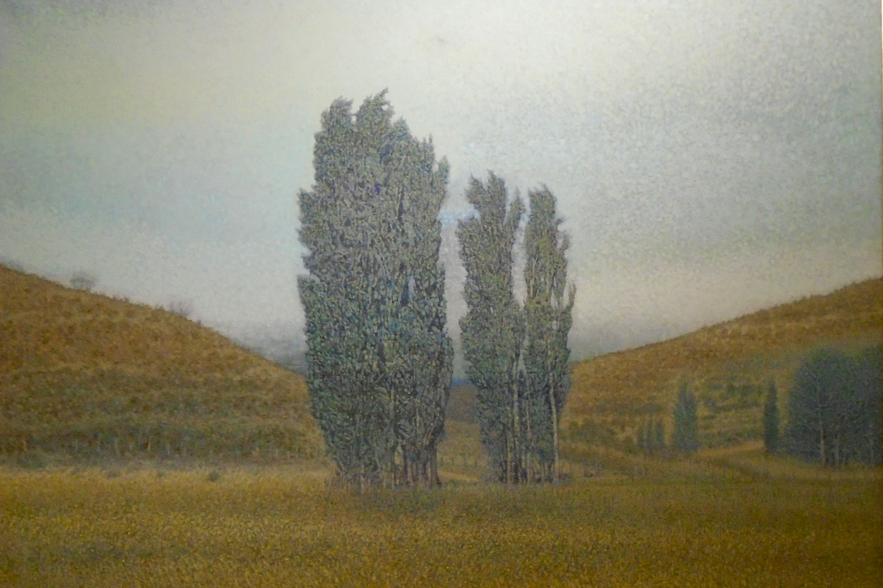 Álamos en la Bonita (Chubut), 2004 Álamos en la Bonita (Chubut), 2004