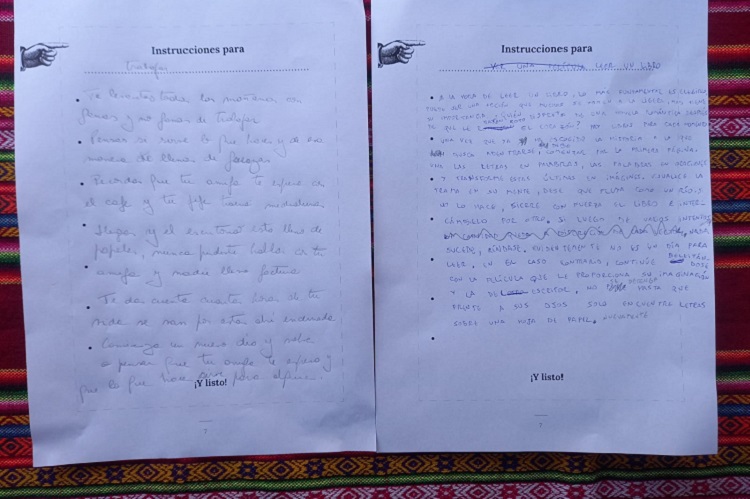 imágenes con instrucciones escritas por los asistentes al taller